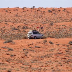 The dunes are slowly getting bigger.
