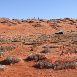 Down the first dune headind east from the Colson Track.