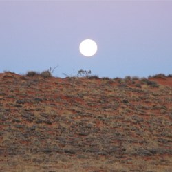 Full Moon rising in the Simpson