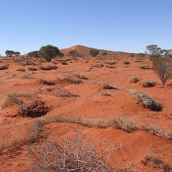 Terrain around Geosurvey Hill.