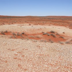 We came across many unusal finds in the desert.