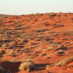 The view from the Sky Highway