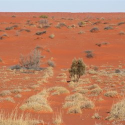 Mother Nature slowly reclaiming the old shot lines