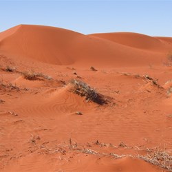 Live dunes at the Geographical Centre