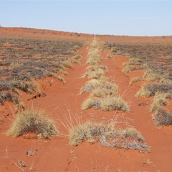 We were able to select high range on this old shot line