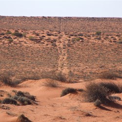 Heading east again on this very old and mostly revegitated shot line