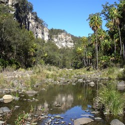 Carnarvon Gorge Queensland