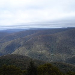 Barrington Tops