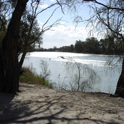 Murray River at Loxton