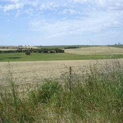 Mount Pleasant Valley