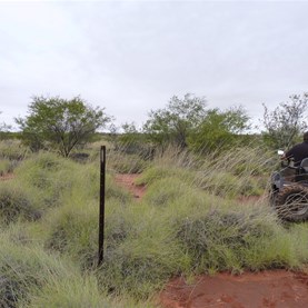 Mick heading off south to scout the shot line