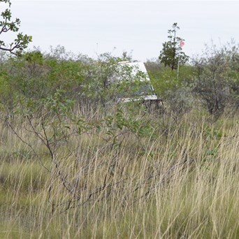 The Guppy pushing through the thick scrub