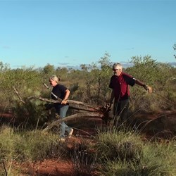 Gaby and John wrestling some firewood into camp