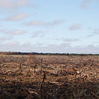 The cyclone devestation around 80 mile beach