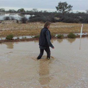 Patsy Dunn crossing the Birdsville Track