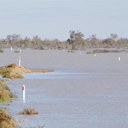 The Birdsville Track stayed flooded for over 7 months