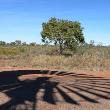 A shadow of its former self