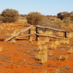 Old Stock Fence NT