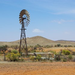 Smybol of the Australian Outback Holowilena