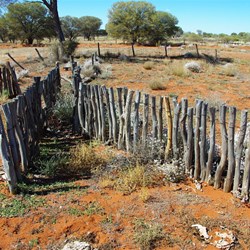 Old Stock Race Minnie Creek Road WA