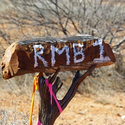 Roadside Mail Bag 1 - I do not think so Davie Carnegie Road