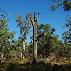 Not your everyday telegraph pole Lindsay Island