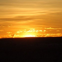 Sunrise in the samphire - Great Sandy Desert north of the APT
