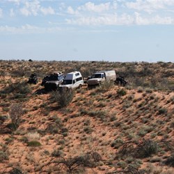 Perched a top a sandhill