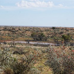 Surface water in the soak area - Can you spot the camels?