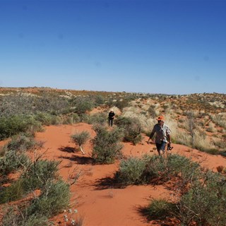 Bloody Hard Country!  The GSD north of the APT.