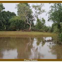 The Receding Floodwater