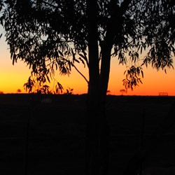 Sunset out our Back Door