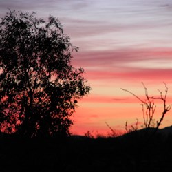 Another Cloudy Sunrise