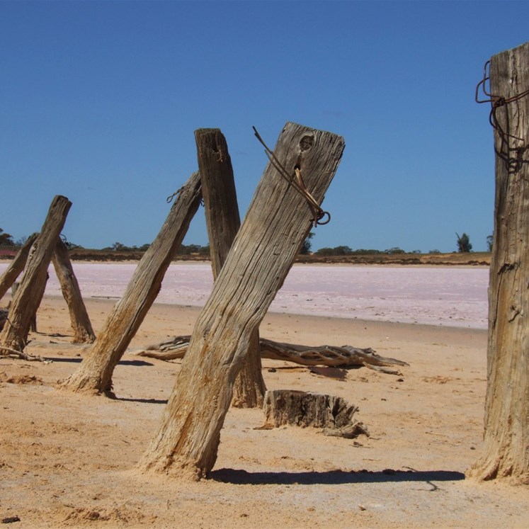 Remnants of a bygone era - old cattle troughs in the sunset country