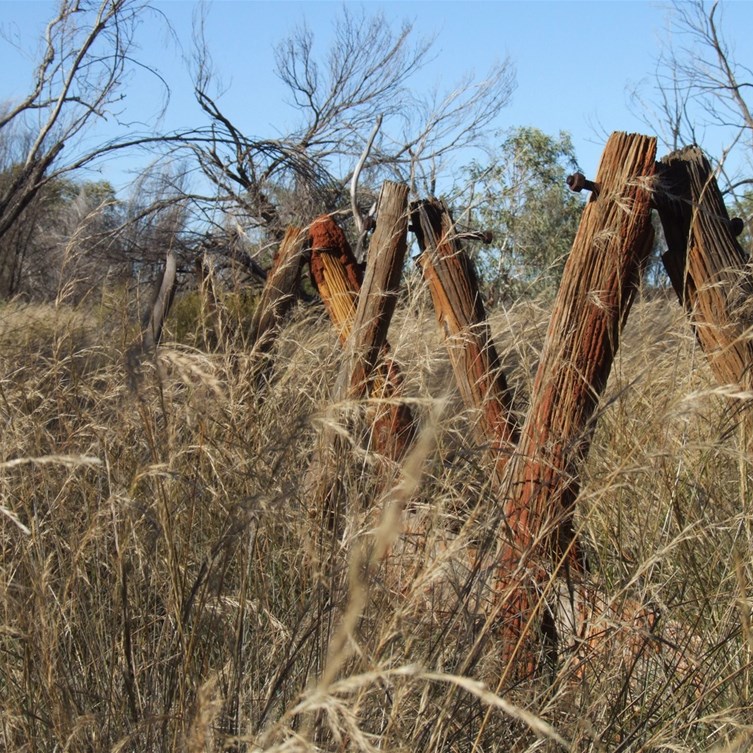 A Canning Well - CSR 2006