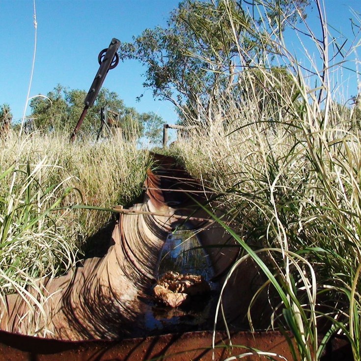 Kuduara - Canning Stock Route 2009