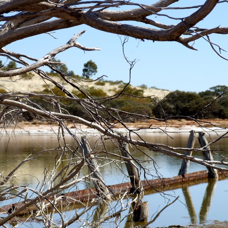 Well 41 in flood - CSR 2006