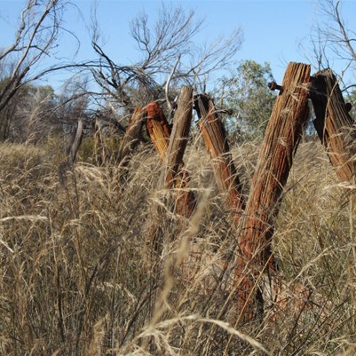 Remnants of a better time - Canning Stock Route