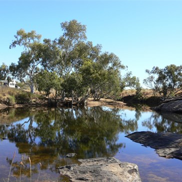 Tjarra Pool - Rudall River