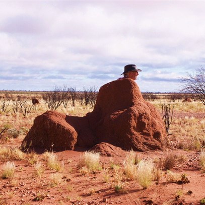 Great Sandy Sphinx - Somewhere north of Lake McKay 2009