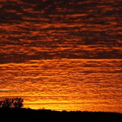 Western Deserts dawn - 2009