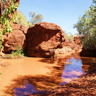 Gulvida Soak - CSR 2009