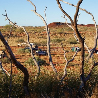 Camp some where north of Mount Webb WA