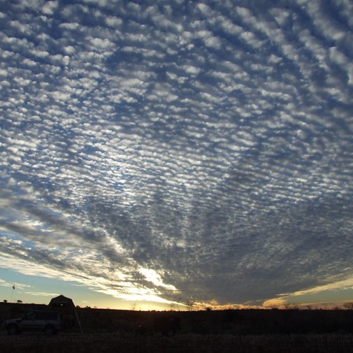 Early morning clouds