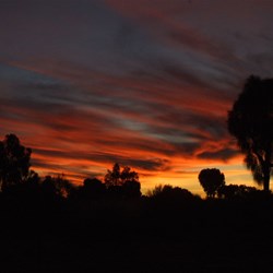 Savory Sunset - CSR 2007