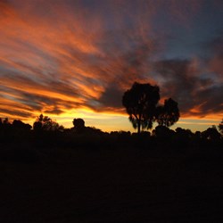 Savory Sunset - CSR 2007