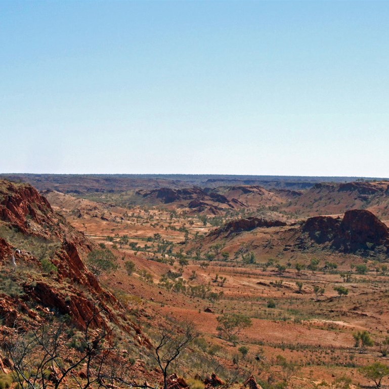 The shark - Rudall River 2008