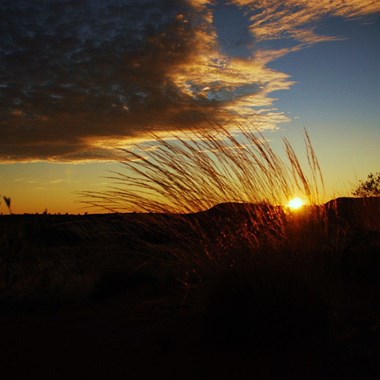 Spinifex Sunset