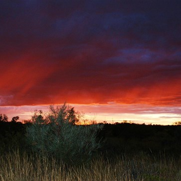 Dawn Aurora - First light reflecting of falling rain - Helena Spring 2009