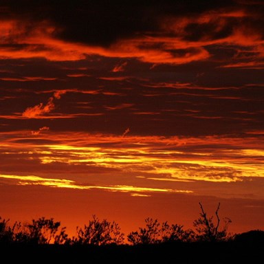 Desert Sunset - Warrabudda Soak - Helena Springs Track east of the CSR